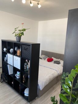 Prenájom 1-izbový byt - 3