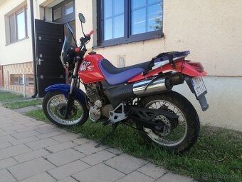Honda SLR650 - 3