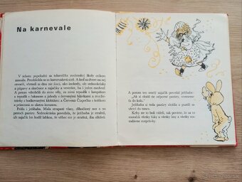 Danka a Janka Mária Ďuríčková - 3