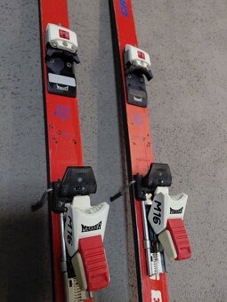 Lyže ELAN CR 308 - 3