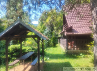 Chata uprostred lesa neďaleko viacerých lyžiarskych stredí - 3