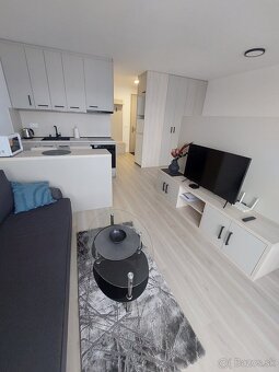 Prenajmem vkusný 1,5 izbový byt s balkónom_ ul. Hrušková - 3