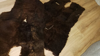 Predám vypracované kože - 3