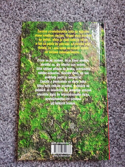 Manuel Valls - Júlia a prípad zmiznutej ženy - 3