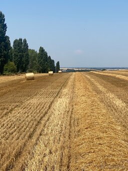 Predám môj prebytok pšeničnej slamy - 3