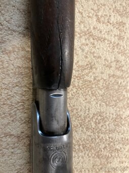 gulobrokova kozlica - 3