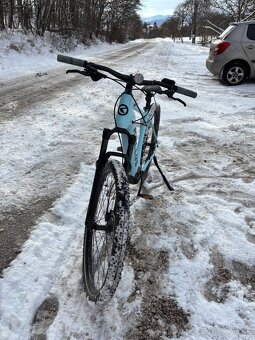 Predam Kellys Tayen R50 - 3