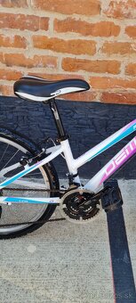 Bicykel Dema Pegas 24" alu - 3
