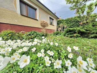 Na predaj príjemný 4 izbový rodinný dom na pozemku 995... - 3