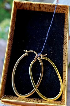 Zlate nausnice ovalne - 3