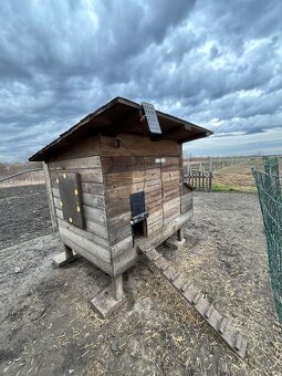 Kurín pre sliepky - 3