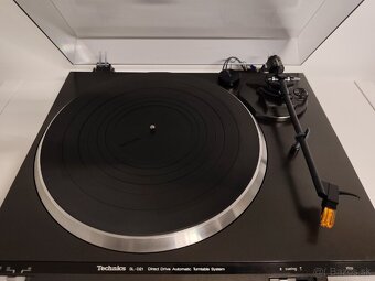 Technics SL-D21 - 3