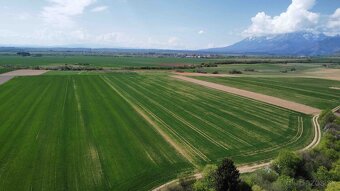 Podhorany – 8.227 m2 ORNÁ PÔDA v podiele 1/1 – Predaj - 3