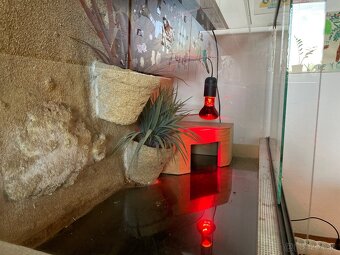 Akvárium - terárium 75x40x50cm - 3