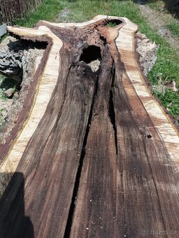 Orechove fosne,  hrúbka 84mm - 3