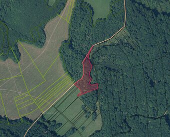 Trenčianske Mitice – 1.870 m2 LES - 3