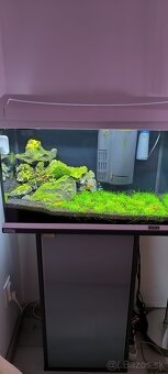 Predám akvarium - 3