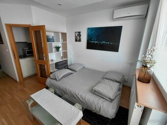 DLHODOBÝ PRENÁJOM / GARSÓNKA / SENICA / - 3