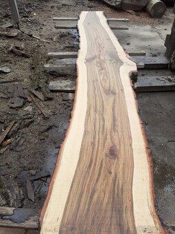 Dubove bukové fosne lacno - 3