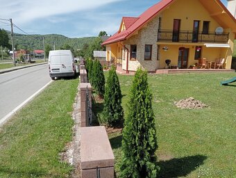 Tuja Smaragd, vavrínovec, červienka - ROŽŇAVA - 3