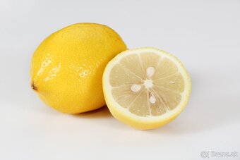 Citronovník-Meyer - 3