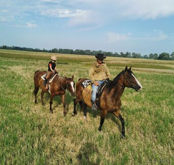 Kobyla appaloosa - 3