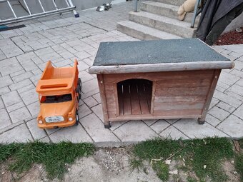 Búda pre psa - 3