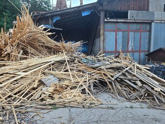 Smrekove odrezky - 3