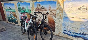 NOVÝ  ELEKTRO BICYKEL 599 - 3