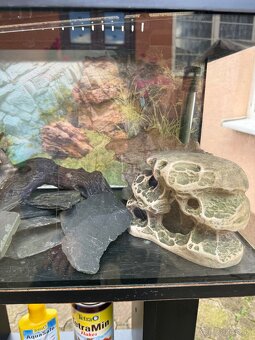 Akvárium DIVERSA 54L+komplet prislusenstvo - 3