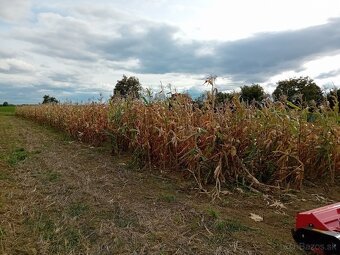 MULCOVANIE - KOSENIE - 3