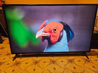 LG 43"(108cm)SMART 4K, webOS 3.5  WI-FI - 3