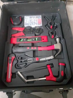 gola sada. Sada náradia Kraftmate 256 ks – - 3