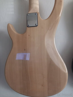 basgitara-predam, - 3