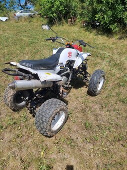 Predam Bashan 250cc - 3