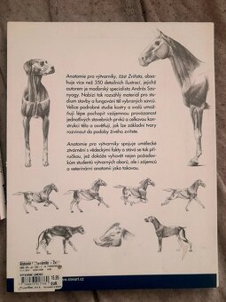 Anatomie pro vytvarniky - 3