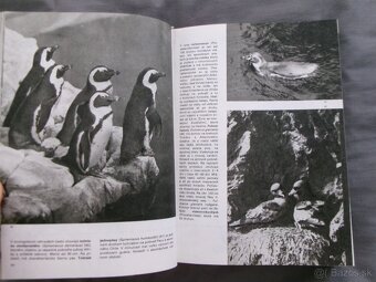 Veľký obrazový atlas vtákov - Jan Hanzák. - 3