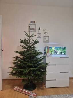 Stojan na stromček - 3