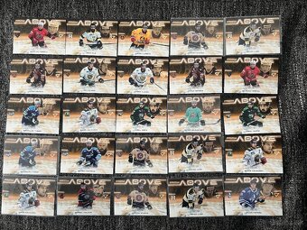 Tipos SHL Sportzoo - 3