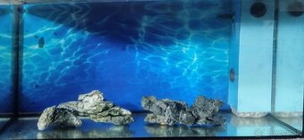 Akvárium 80x35x45 cm /126 lit - 3