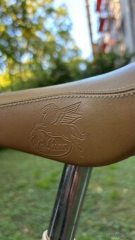 Mestský vintage bicykel - 3