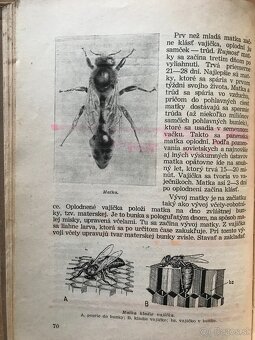 Koloman Novacký: Včelárstvo (1955) - 3