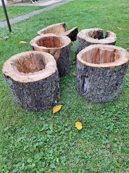 Dutý kmeň na búdky pre vtakov - 3