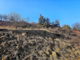 Pozemok na výstavbu, Križovany, Prešov - 3