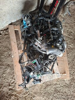 Berlingo, partner - 3