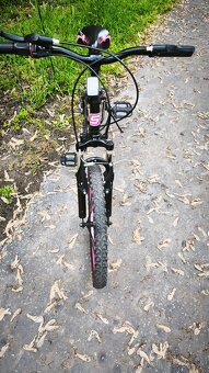 Dievčenský bicykel 20 - 3