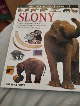 Ďalší sortiment - 3