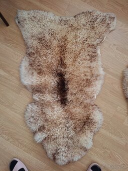 Ovčia kožušina - 3