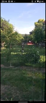 Domáce vajíčka - 3