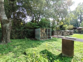Rekreačný pozemok Gabčíkovo-Prístav 300 m2 - 3